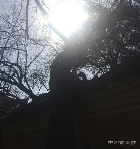 江南访梅|从吴湖帆“梅景书屋图”看历代文人赏梅、写梅