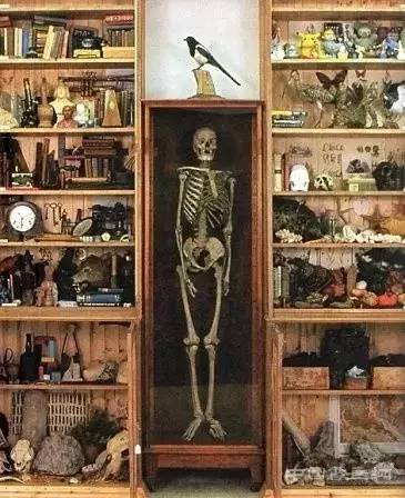淘出来的作品？烟斗灰混合着威士忌底子的装置作品